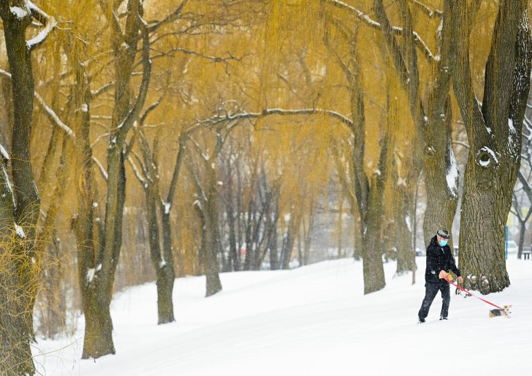 Coronavirus: Latest developments in the Greater Toronto Area on Feb. 22