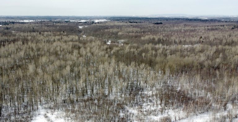 Nine Algonquin nations reject Ottawa land project labeled as ‘reconciliation’ effort