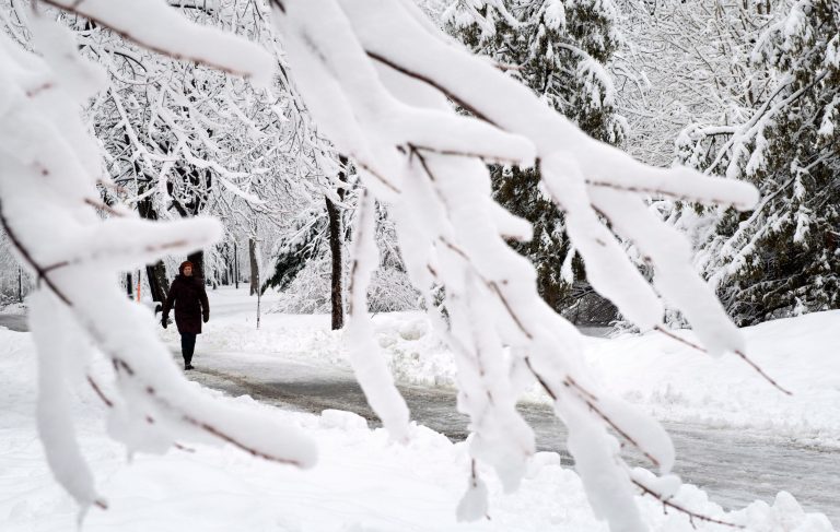Snowfall warning for Peterborough, City of Kawartha Lakes and area on Family Day
