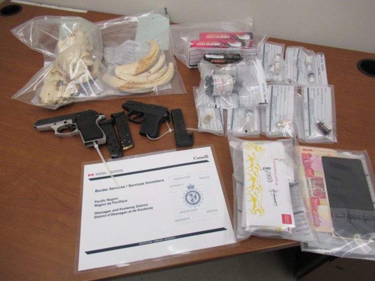 Border agents in B.C. seize cash, 2 handguns, hippo tusks and bear skulls from motorhome