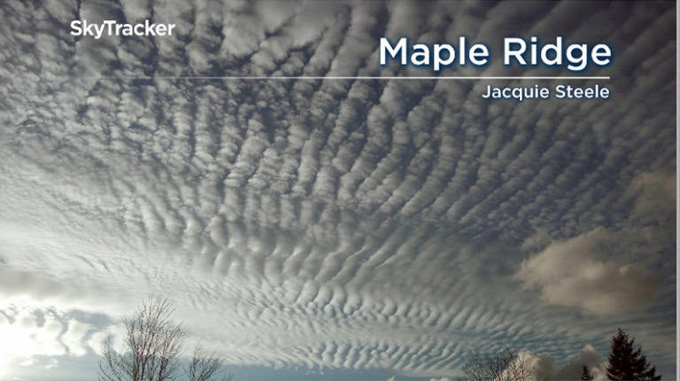 Fingerprints in the sky? Meet altocumulus undulatus