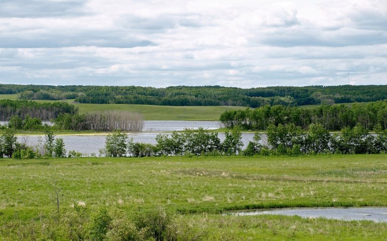 Saskatchewan municipalities to lobby province for wetland policy