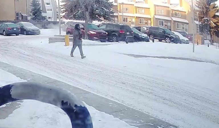 Police release video of northeast Edmonton homicide suspect