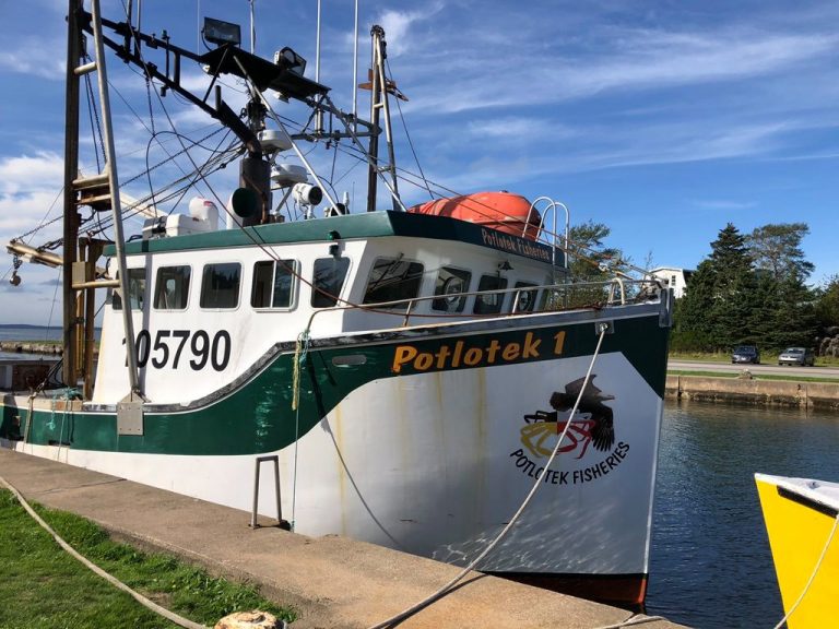 Cape Breton’s Potlotek First Nation to sue Nova Scotia over livelihood fisher