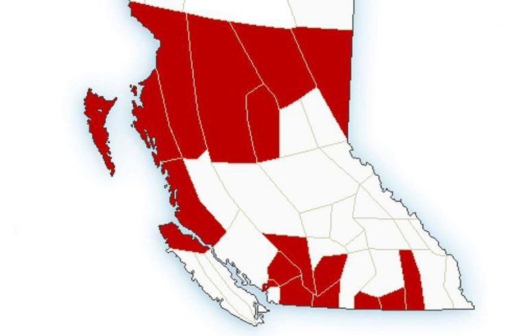 ‘Snow blob’ en route for parts of B.C.; Environment Canada issues snowfall, winter storm warnings