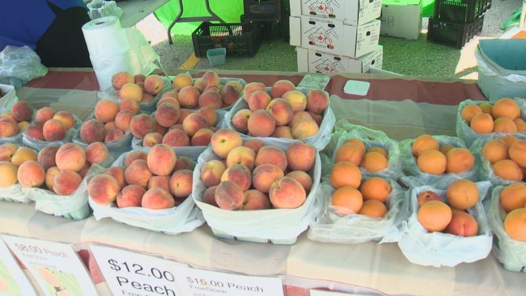 Vernon, B.C., councillor urges province to reconsider COVID-19 restriction on farmer’s markets