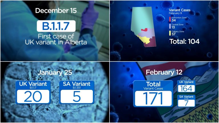 The big picture: a timeline of increasing COVID-19 variants in Alberta