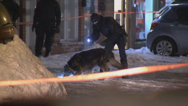 Police investigate fatal shooting in Montreal North, 2 shootings in Riviere-des-Prairies