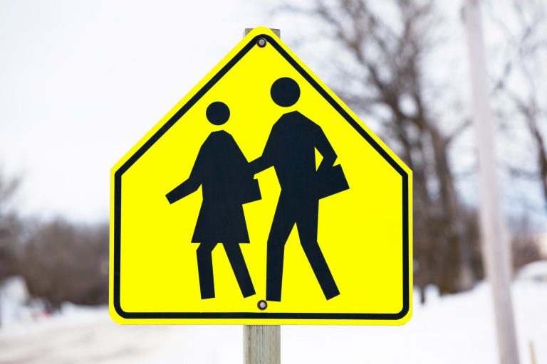 Guelph police charge man with disobeying crossing guard