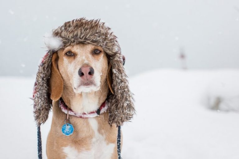 Bitterly cold winter weather continues in Calgary this week