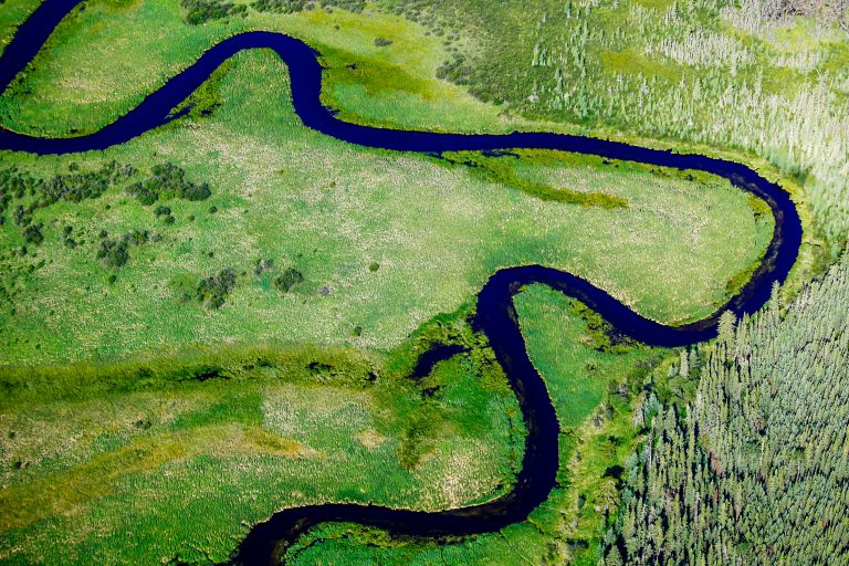 Alberta to expand world’s largest connected stretch of boreal forest preserve