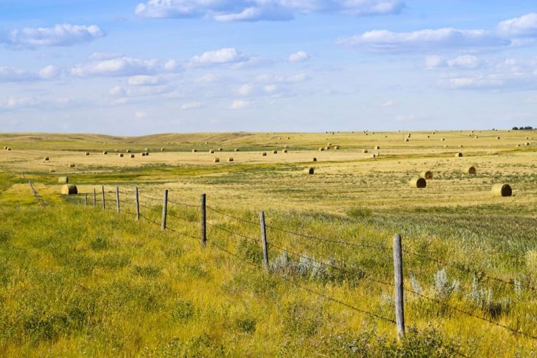 ‘Incredibly destructive’: Canada’s Prairies to see devastating impact of climate change