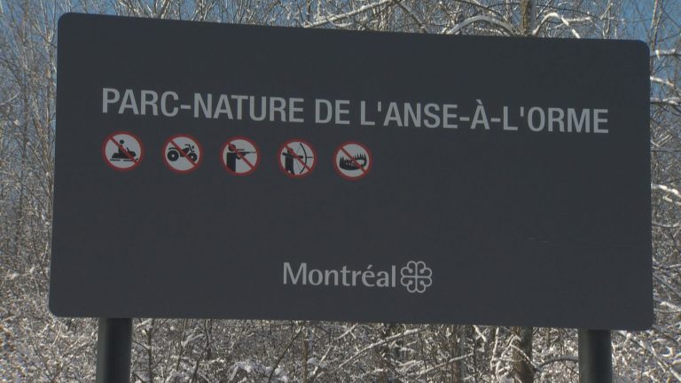 Political pressure mounting to ban hunting on the Island of Montreal