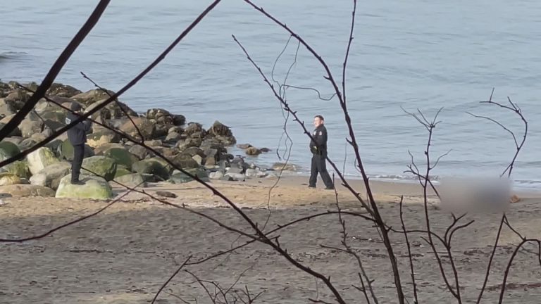 Vancouver police officer filmed posing for photos next to dead body