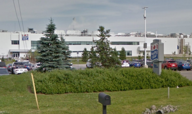 Hamilton man charged after two women stabbed at Maple Leaf Foods plant