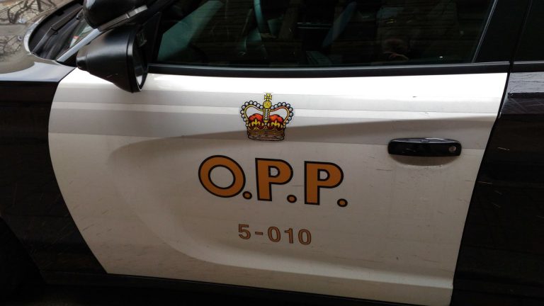 Pedestrian hit by vehicle on Highway 403 near Brantford: police