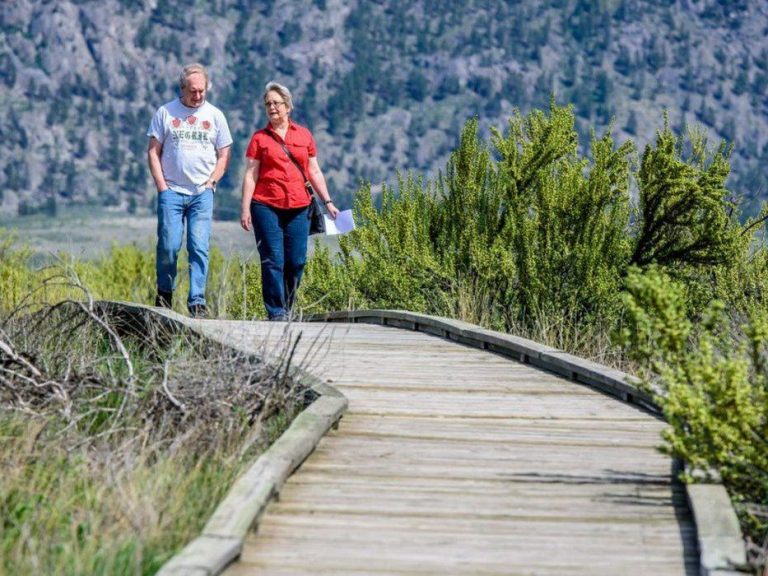 Osoyoos Desert Centre receives provincial funding to replace aging boardwalk