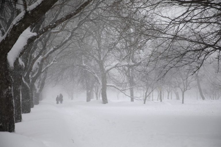 Snow storm closes schools in Hamilton, Halton and Niagara
