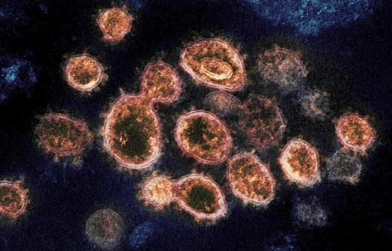 New highly contagious COVID-19 variant identified in B.C. Interior for first time