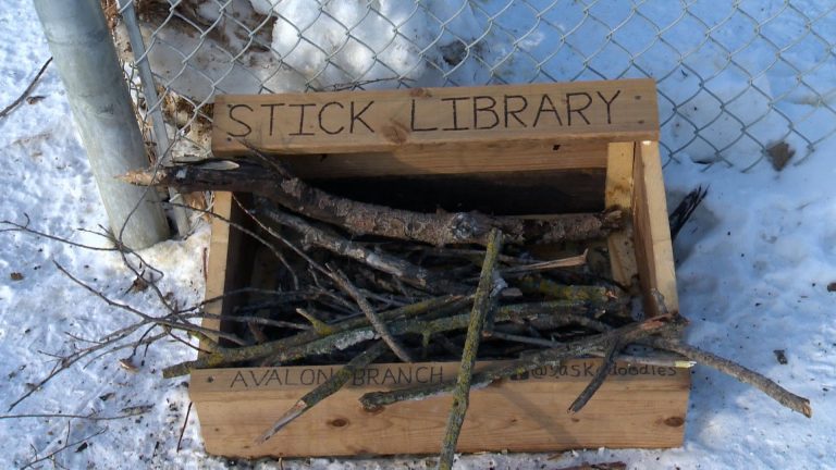 Saskatoon father and son duo create stick libraries for local dog parks