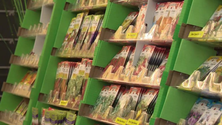 Greenhouses, plant centres stock up early in anticipation of another busy gardening year