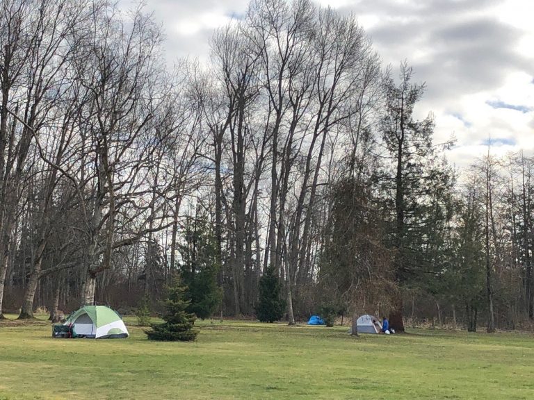 Liberal MLAs call on B.C., Washington state to close Peace Arch Park amid increase in tents