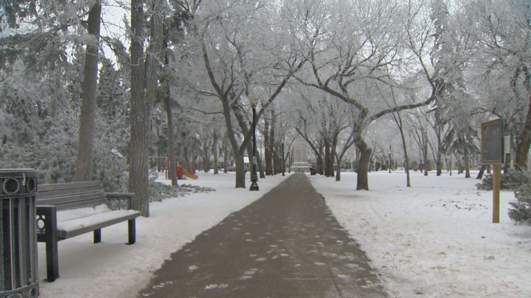 Regina Police issue two tickets for public health order violations