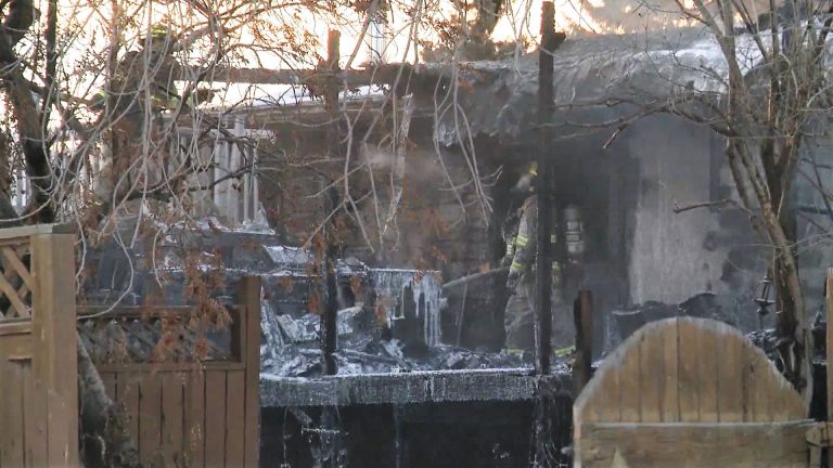Cat saved from Willow Park house fire but home badly damaged