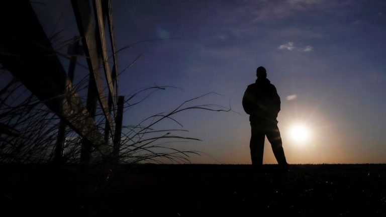 ‘We are facing extinction’: Black farmers in steep decline