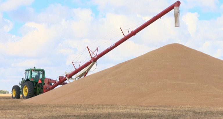 Foreign demand for Canadian barley brings spike in price