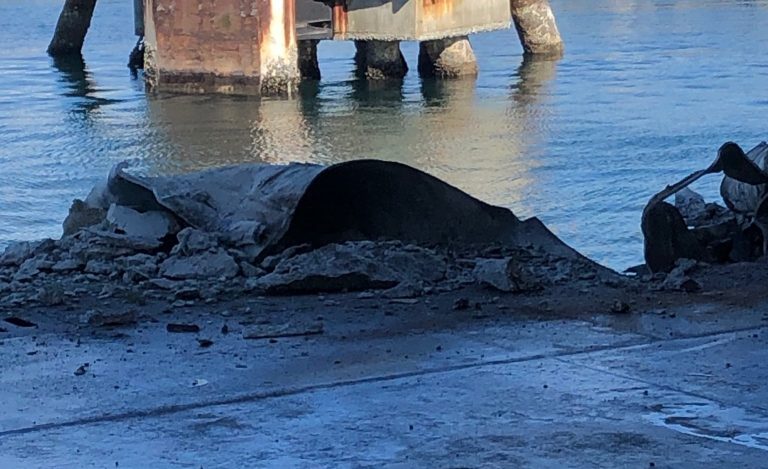 Anchors failed to deploy during B.C. ferry’s ‘hard landing’ at Tsawwassen terminal: TSB