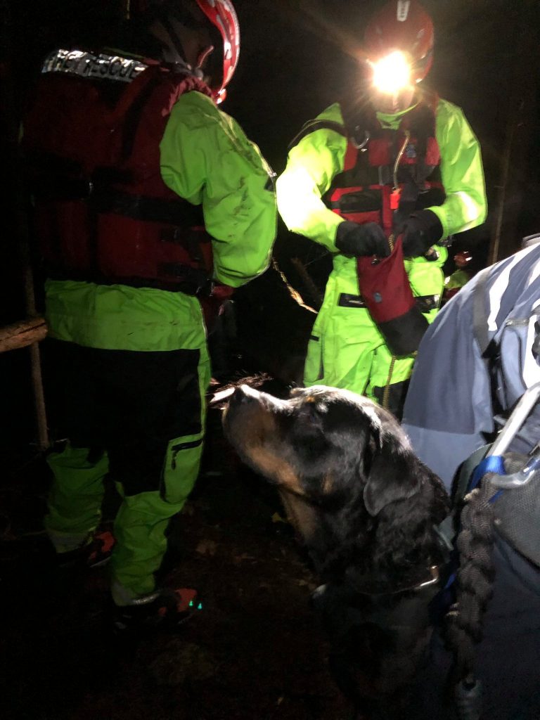 Firefighters race against time to rescue dog stranded in West Vancouver creek