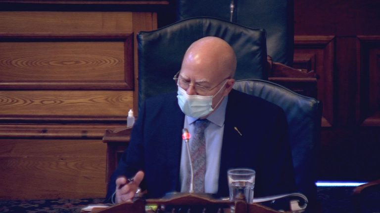 N.B. Green leader pans pace of action on protections for at-risk youth