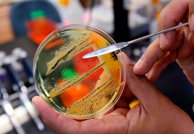 Health Canada warns of salmonella outbreak in Nova Scotia and Newfoundland