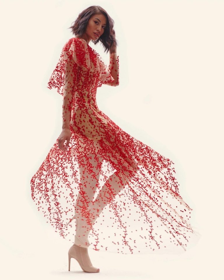 ‘My sister was more than a dot’: MMIW families upset over designer dress