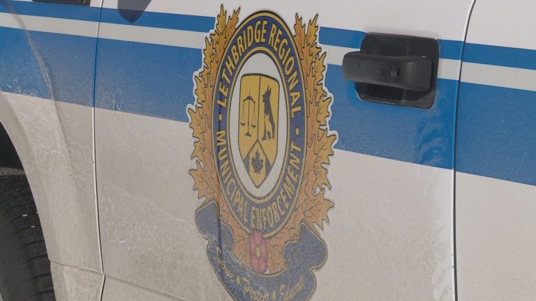 Lethbridge Animal Services asks public for help in month-long stray dog case