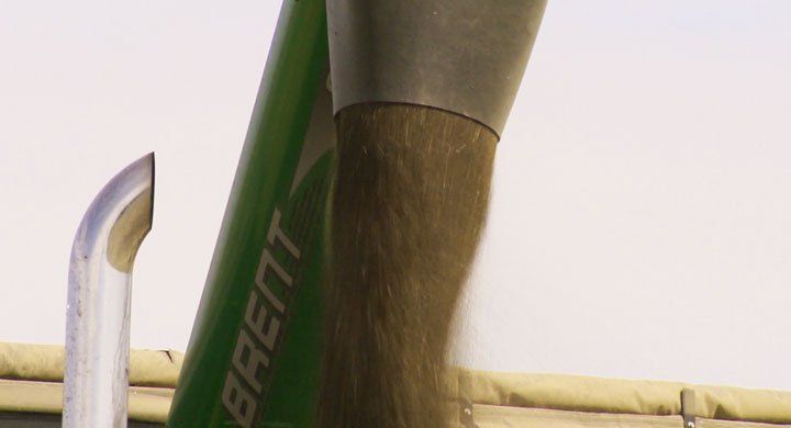 Record year for agriculture exports from Saskatchewan