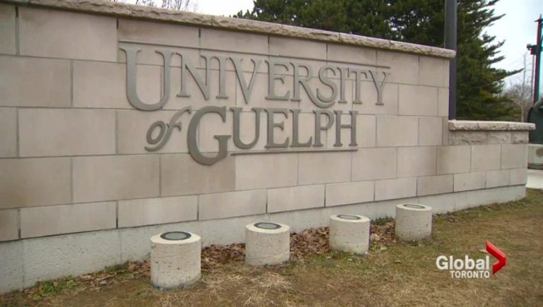 Most University of Guelph students connected to COVID-19 outbreak have recovered