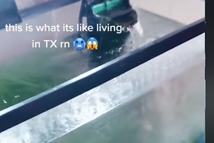 Woman’s fish tank turns into a block of ice amid Texas storm