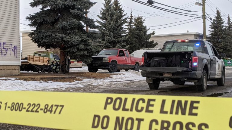 Vehicle shot at in southeast Calgary: police