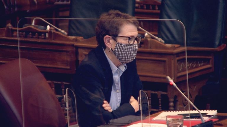 Questions on bilingualism dominate N.B. languages commissioner’s committee appearance