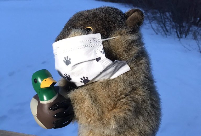 Manitoba Merv predicts an early spring on Groundhog Day