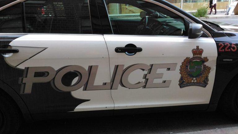 Man charged with mail theft, waving firearm in St. Catharines