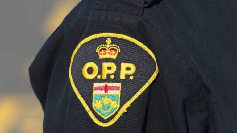 30-year-old man charged in Ramara, Ont. homicide