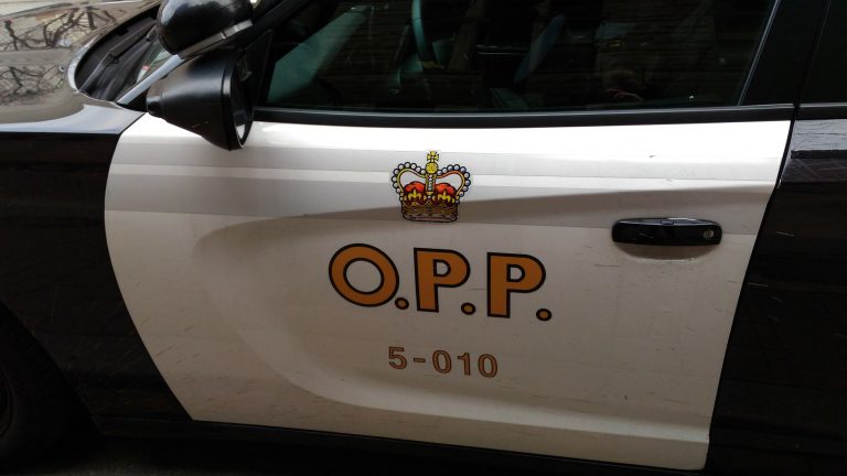 OPP deploy spike belt in Haldimand County traffic stop