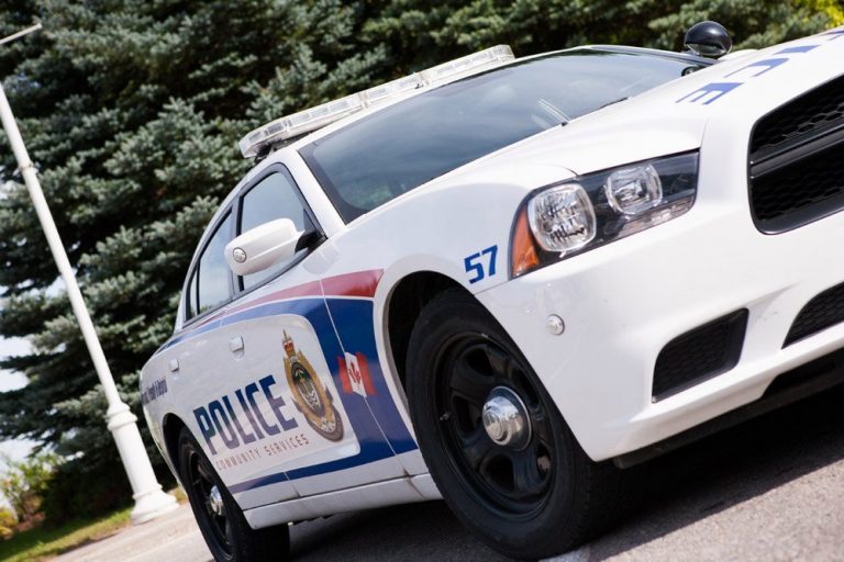 Wanted Peterborough man flees officers, caught after ‘controlled bite’ by K9 dog: police