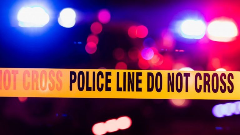 Boy, 14, allegedly run over and killed as driver suffers gunshot wound after a fight