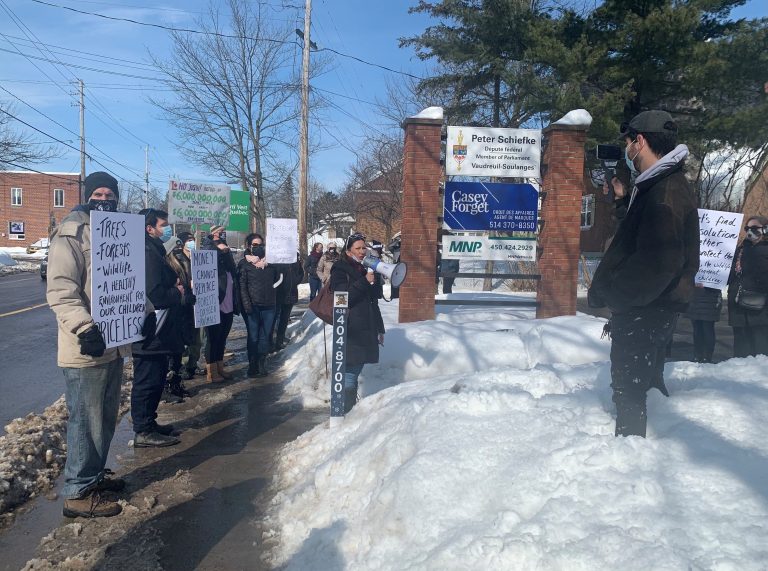 Protestors calling on federal government to sign emergency order to save Île-Perrot forest