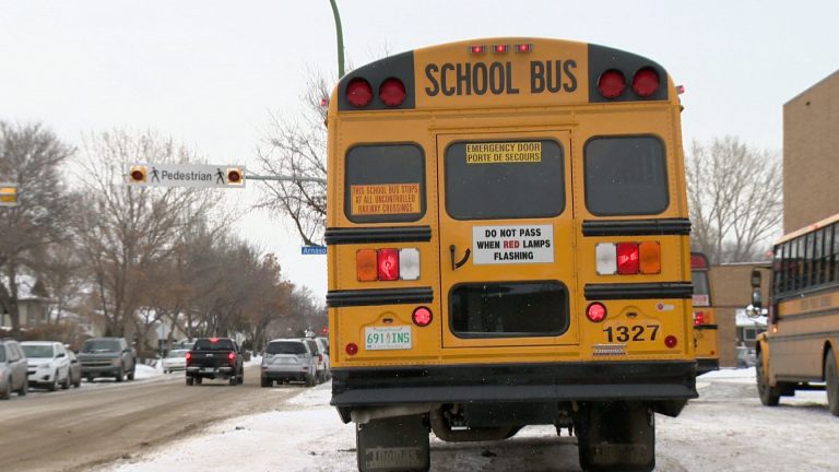 School divisions in and around Regina cancel bus services due to weather
