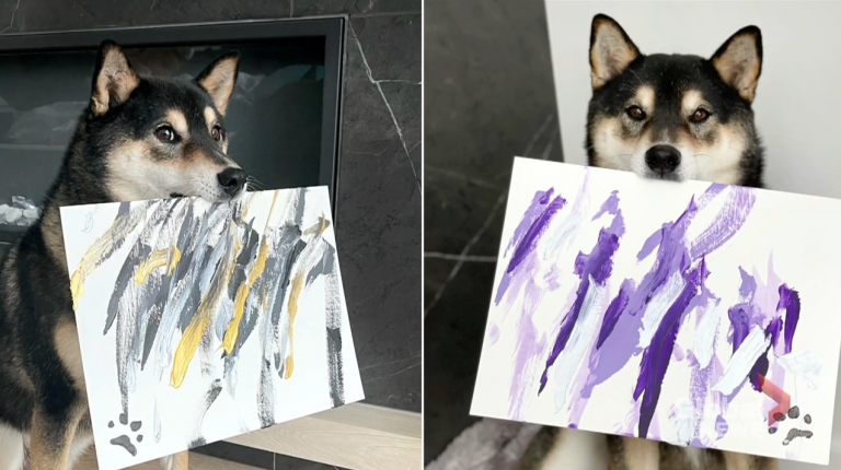Paintings by Alberta dog bringing ‘joy and happiness’ to people around the world